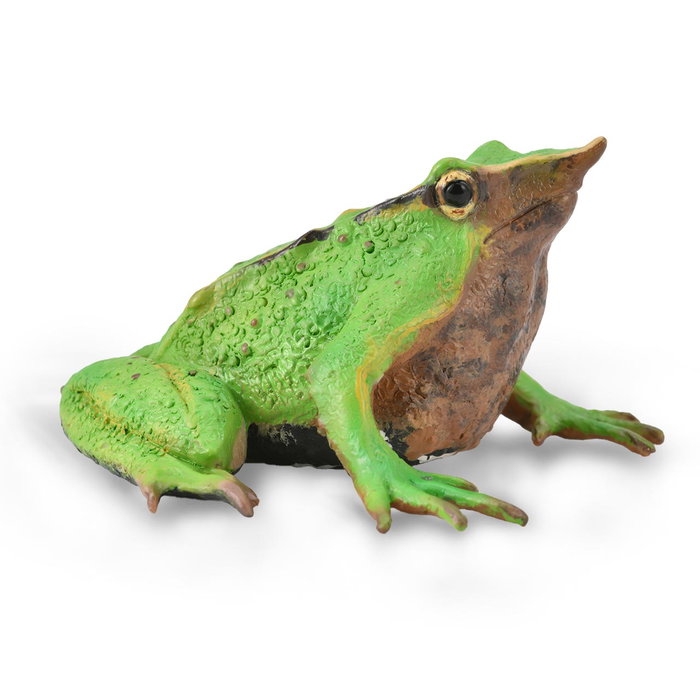 COLLECTA Grenouille de Darwin - Taille M COLLECTA Grenouille de Darwin - Taille M