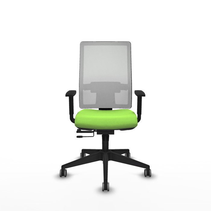 Piqueras y Crespo Chaise de Bureau Horna, Pistache et Blanc