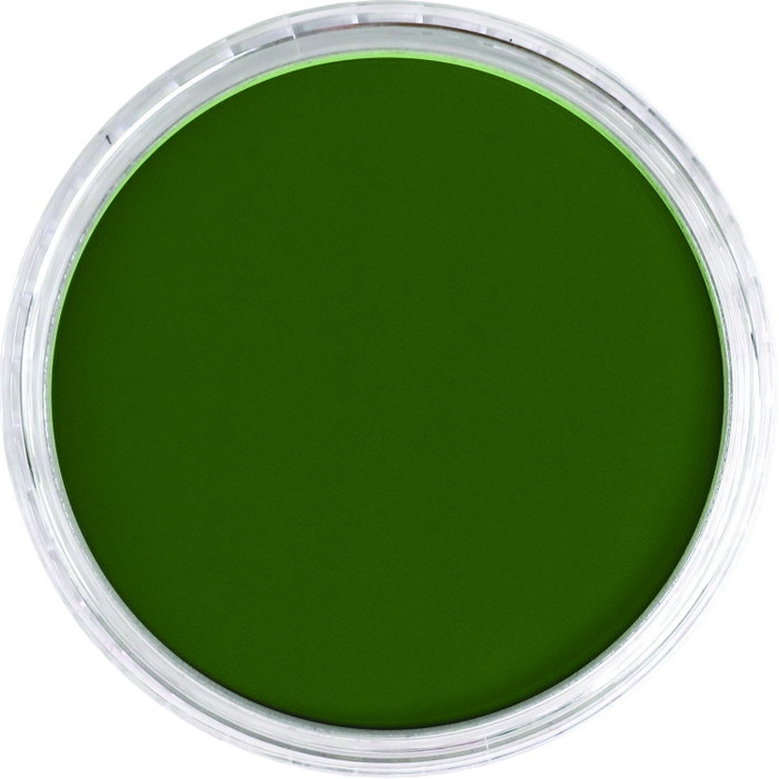 Panpastel 660.5 Vert Oxyde de Chrome