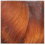 L'Oréal Professionnel Paris MAJIREL Ionène G n°7.45