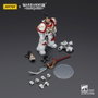 Joy Toy (CN) Warhammer The Horus Heresy White Scars Legion Praetor - 12 cm