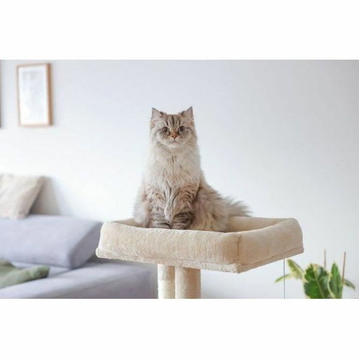 Kerbl Arbre à chat ALESSIA Beige 100 cm