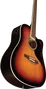 EKO Guitare Acoustique Dreadnought Ranger 6 A/E Cutaway - Brown Sunburst