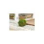 Tfa CASA Weather Station 35.1135.02