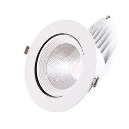 Downlight LED 35W 5250Lm 2700K Circular Orientable 40.000H [HO-COB-C-OR-35W-WW]