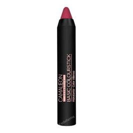 ARMONIA CAMALEON BASIC COLOURSTICK BC13 Nude Marron