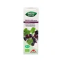Intersa Phytobiopole Grosellero Negro Bio 50ml