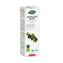 Intersa Phytobiopole Grosellero Negro Bio 50ml