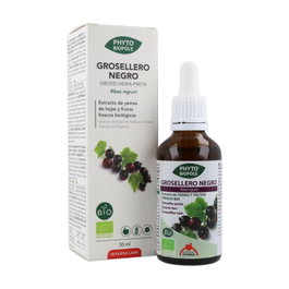 Intersa Phytobiopole Grosellero Negro Bio 50ml