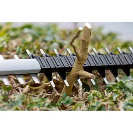 Bosch Professional Taille-haie sans fil GHE 18V-60 18V (60 cm, lame 20 mm, moteur brushless) sans batterie