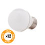 Pack de 12 Lampes LED SMD2835 E27 5W 410Lm Blanco Frío
