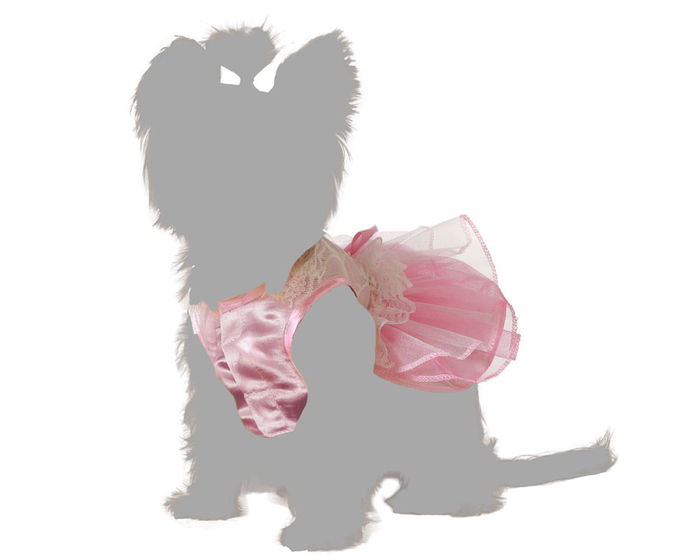Déguisement pour Chien Princesse Rose avec Tutu - Taille S - Polyester