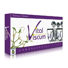 TEGOR Vital Viscum 40 capsules