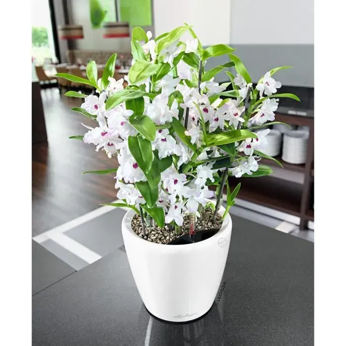 Lechuza Pot de fleurs Classico Premium LS 21 (Réf. LS 21), Ø 22 x 20 cm, 3 L, avec arrosage automatique, blanc brillant, pour intérieur et extérieur