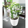 Lechuza Classico Premium LS 21 - Blanc brillant