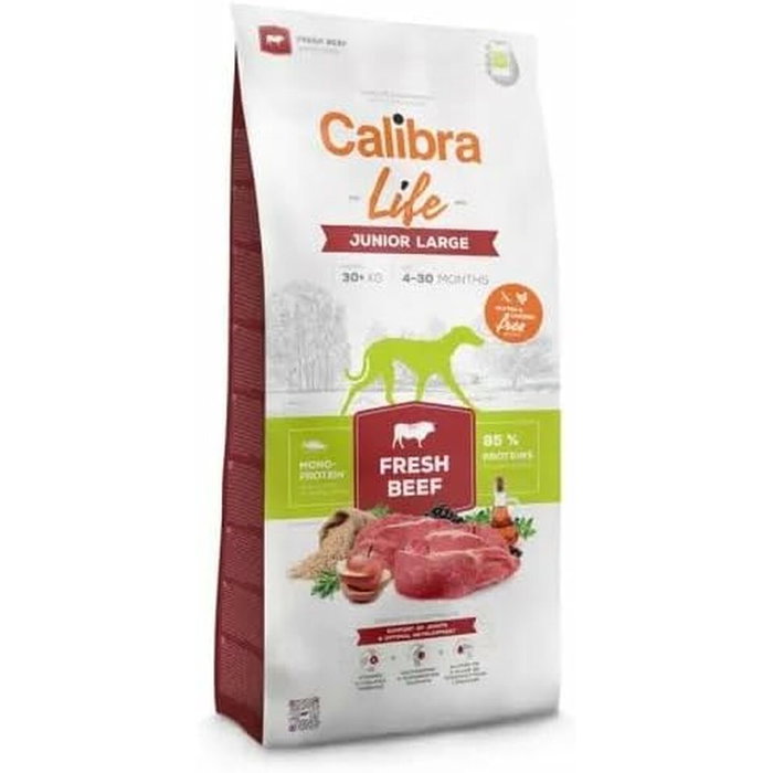 Nourriture Calibra Veau 12 kg Petit/Junior 12,7 KG Nourriture Calibra Veau 12 kg Petit/Junior 12,7 KG