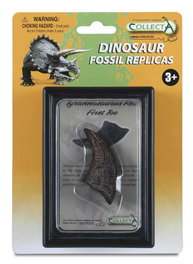 COLLECTA Réplique du premier orteil de Tyrannosaurus rex