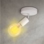 GSC Evolution Foco de techo simple Serie Kestila E27 Blanco