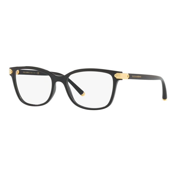 Dolce Gabbana DG5036-501 Dolce Gabbana DG5036-501