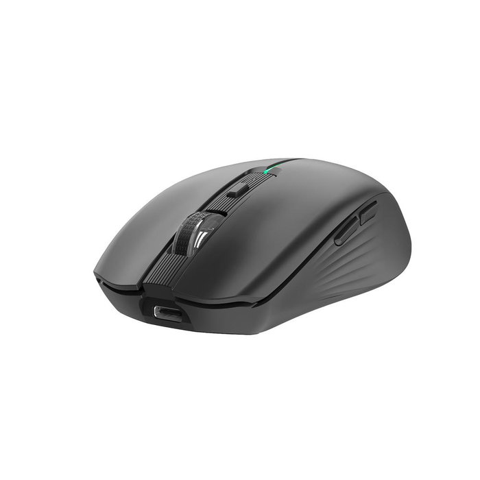 Coolbox Gaming W01 Souris Gamer Sans Fil 2.4G RGB Rechargeable USB-C Noir 800-1600 DPI