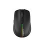 Coolbox Gaming W01 Souris Gamer Sans Fil 2.4G RGB Rechargeable USB-C Noir 800-1600 DPI