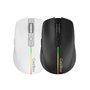 Coolbox Gaming W01 Souris Gamer Sans Fil 2.4G RGB Rechargeable USB-C Noir 800-1600 DPI