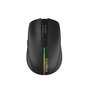 Souris sans-fil CoolBox COO-MOU-W01-B Noir 1600 dpi