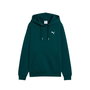 Sweat à capuche femme Puma Maximal Metallic Vert XL
