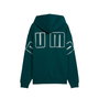Sweat à capuche femme Puma Maximal Metallic Vert XL