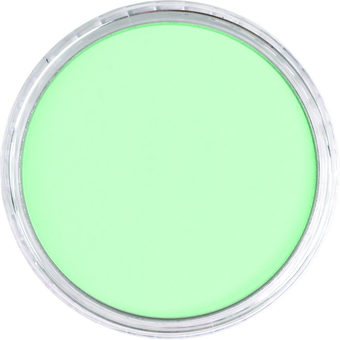 Panpastel 956.5 Verde Nacarado