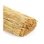 Nature Paillon NATURE - Brise-vue en tiges de roseaux naturels pelés pour jardin, terrasse, balcon - 1 x 5 m - Densité 700 g/m2 - Assemblage fil de fer galvanisé
