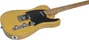 EKO Guitare Électrique Starter Tl401 Type Tele (Touche en érable) - Butterscotch