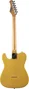 EKO Guitare Électrique Starter Tl401 Type Tele (Touche en érable) - Butterscotch