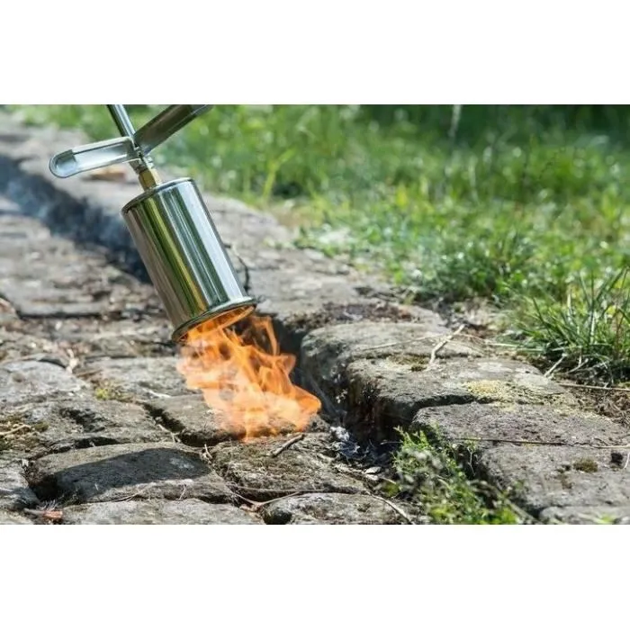 Rothenberger ROMAXI ECO Etancheur et Désherbeur à Gaz avec Détendeur - 1060°C - Ø60 mm - Poignée Ergonomique et Lance Coudée 35° - Gris