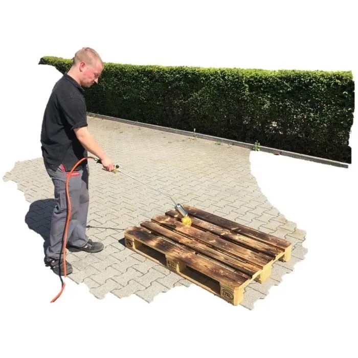 Rothenberger ROMAXI ECO Etancheur et Désherbeur à Gaz avec Détendeur - 1060°C - Ø60 mm - Poignée Ergonomique et Lance Coudée 35° - Gris