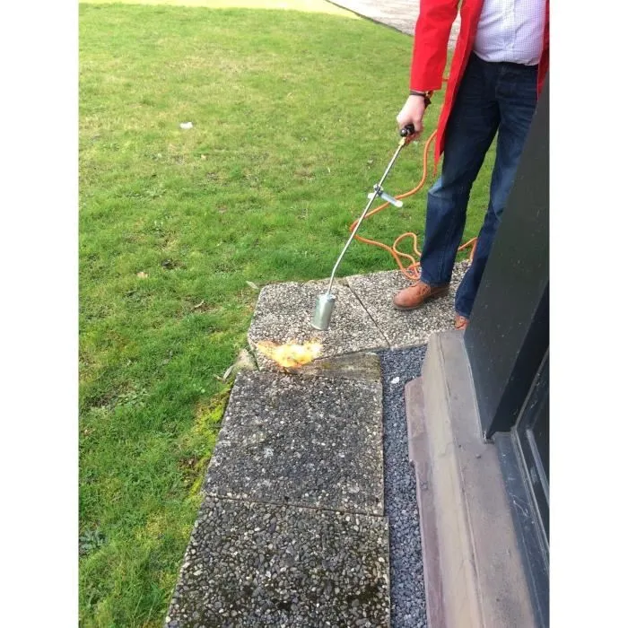 Rothenberger ROMAXI ECO Etancheur et Désherbeur à Gaz avec Détendeur - 1060°C - Ø60 mm - Poignée Ergonomique et Lance Coudée 35° - Gris