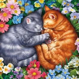 Schmidt Spiele - Puzzle Sommeil aux pattes de velours 1000 pièces - Paysage détaillé - À partir de 12 ans