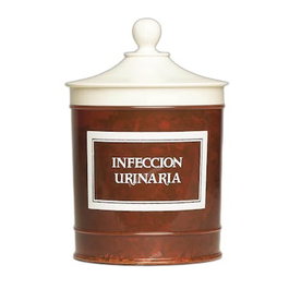 AVERROES INFECCION URINARIA 90 g