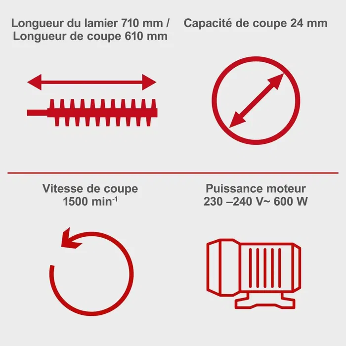 Scheppach Taille-Haies Électrique EHT610 600 W 61 cm - Coupe Performante pour Haies et Arbustes