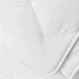 TOISON D'OR Couette Bamboo tempérée 140 x 200 cm - Viscose de bambou 300 g/m² - Blanc - Naturellement antibactérienne et anallergique