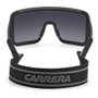 Carrera FLAGLAB-15-003