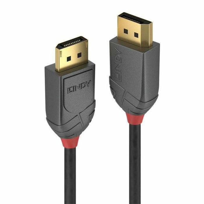 Lindy Câble DisplayPort 1.4 Anthra Line 2m Noir Lindy Câble DisplayPort 1.4 Anthra Line 2m Noir