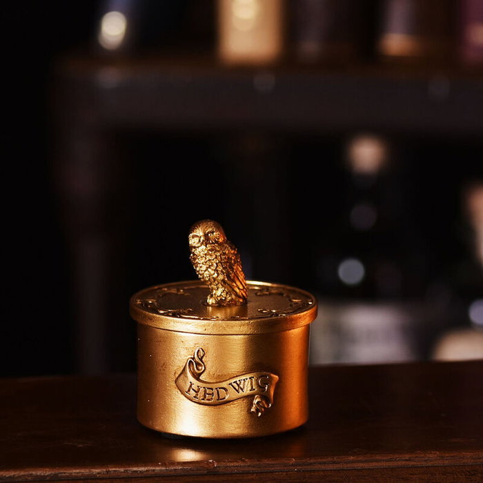 WIDDOP & CO - Boîte décorative Hedwig en résine dorée, coffret à bijoux Harry Potter - Motif en 3D avec nom en relief