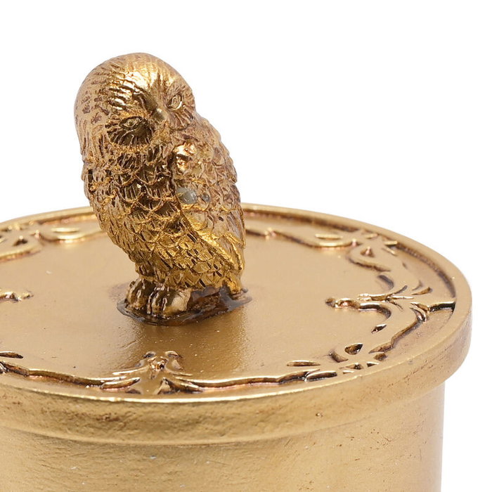 WIDDOP & CO - Boîte décorative Hedwig en résine dorée, coffret à bijoux Harry Potter - Motif en 3D avec nom en relief