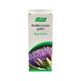A.Vogel Boldocynara 100 ml