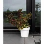 Garden ID Glamour - Pot avec réserve d'eau 40 cm Blanc pour plantes intérieur/extérieur, design épuré et résistant aux intempéries