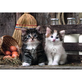 CLEMENTONI Puzzle Lovely Kittens 1000 pièces
