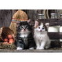 CLEMENTONI Puzzle Lovely Kittens 1000 pièces