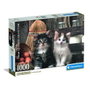 CLEMENTONI Puzzle Lovely Kittens 1000 pièces