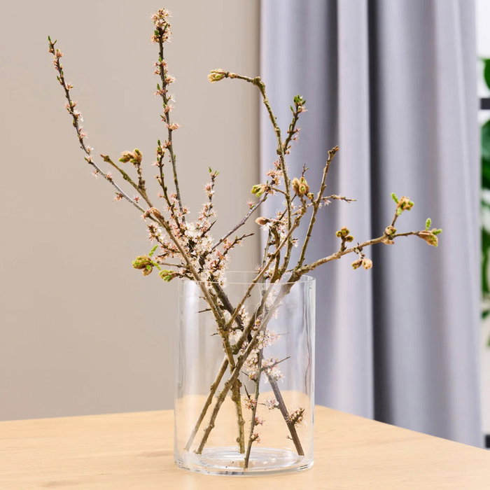 Day Vase Cylindre Transparent 15x20 cm Day Vase Cylindre Transparent 15x20 cm